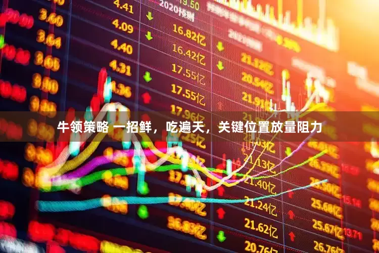 牛领策略 一招鲜，吃遍天，关键位置放量阻力