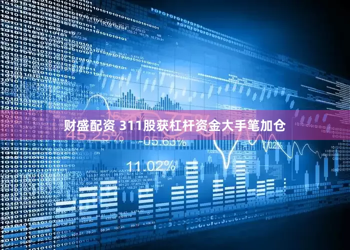 财盛配资 311股获杠杆资金大手笔加仓