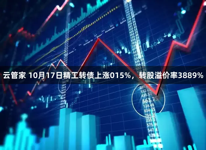云管家 10月17日精工转债上涨015%，转股溢价率3889%
